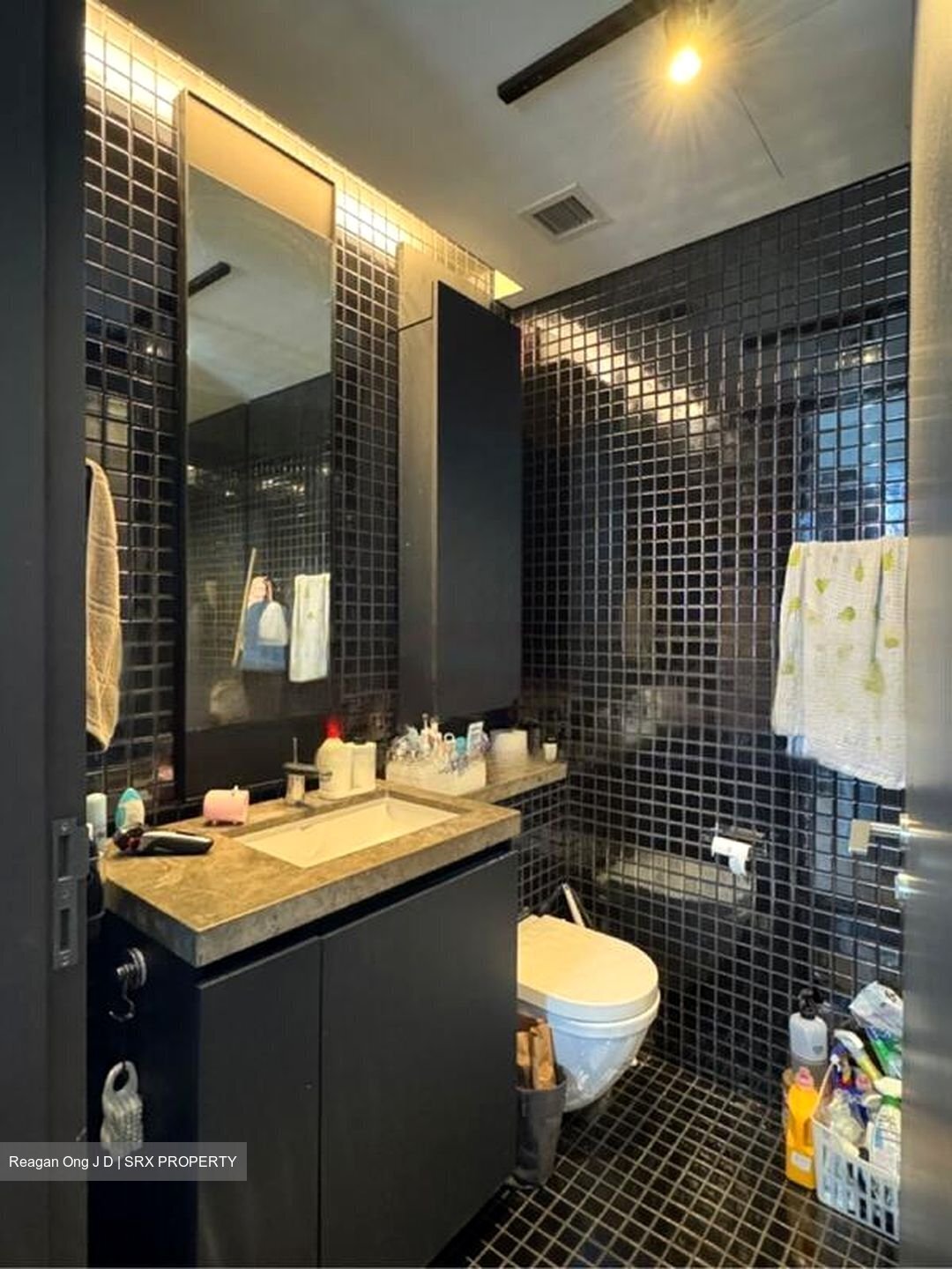 Skysuites@Anson (D2), Apartment #456214421